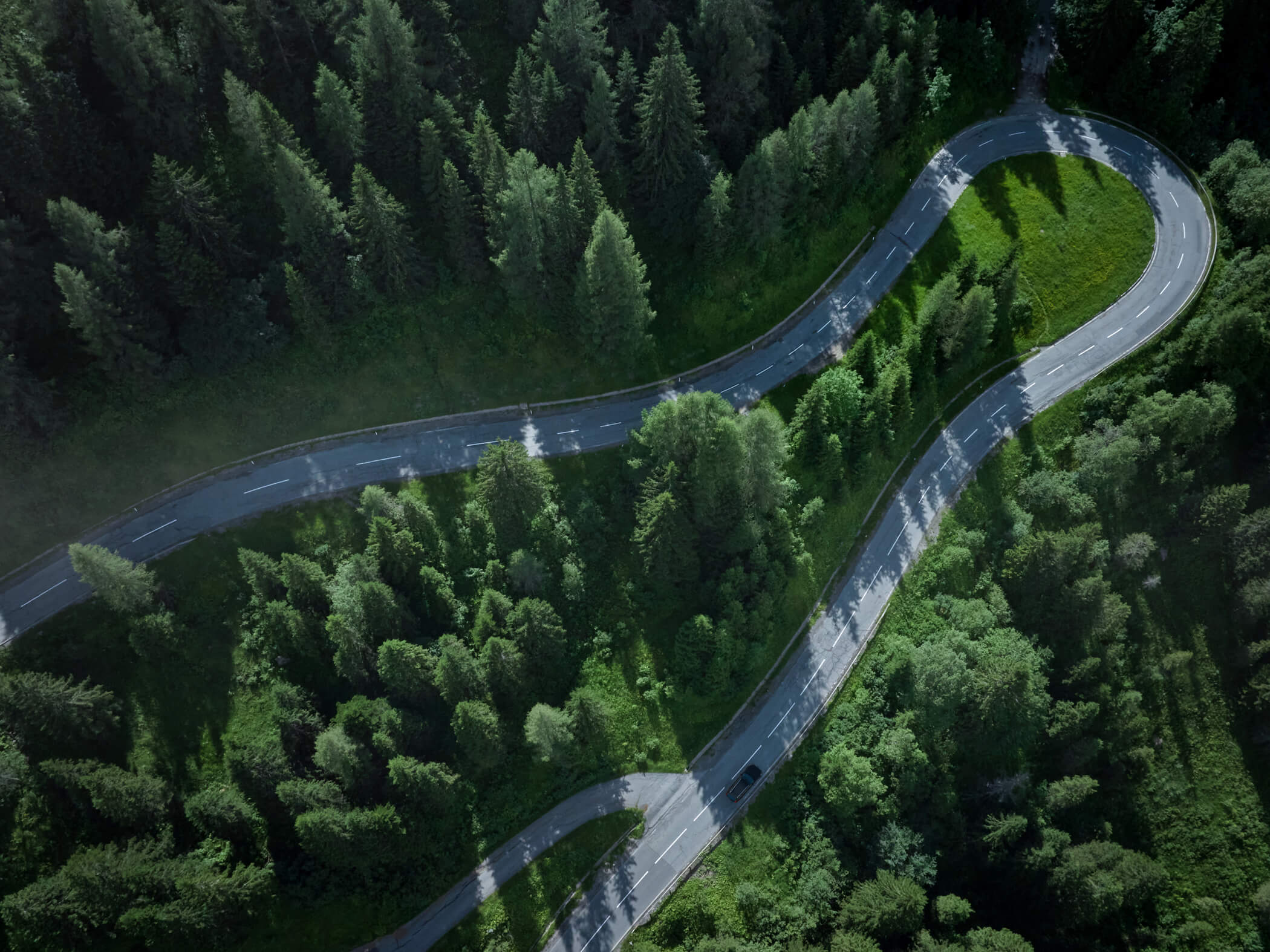 Cardion Cars Volvista